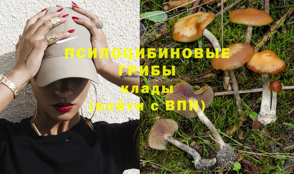 дживик Абинск