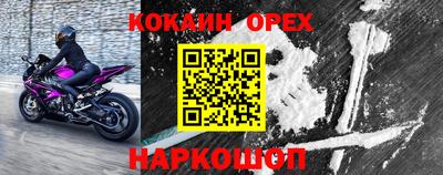 прущие грибы Ярославль